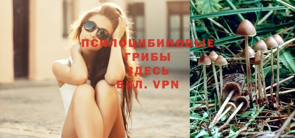 скорость Новодвинск