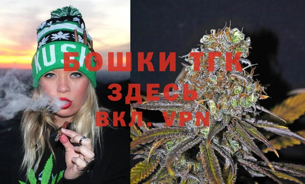 скорость Новодвинск