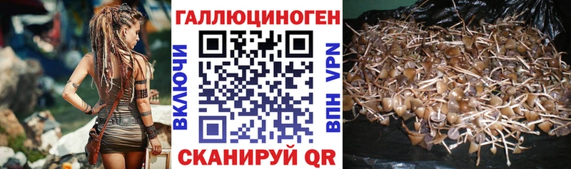 Галлюциногенные грибы GOLDEN TEACHER  купить наркотики цена  Новая Усмань 